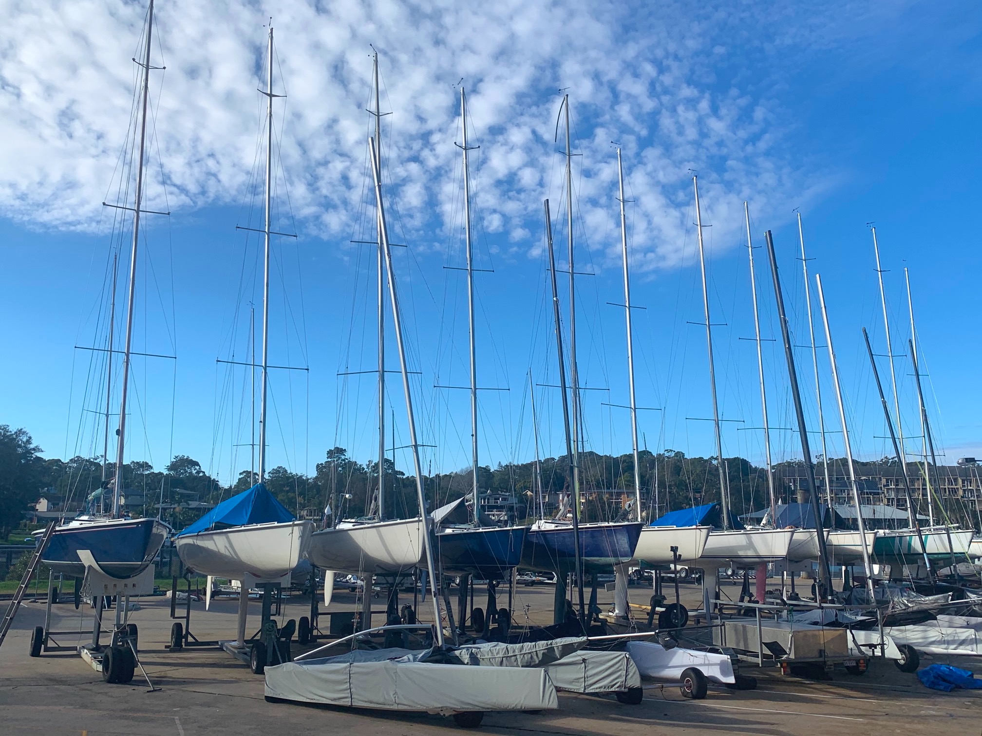Hulls are one-design sailboats lined up on trailers
