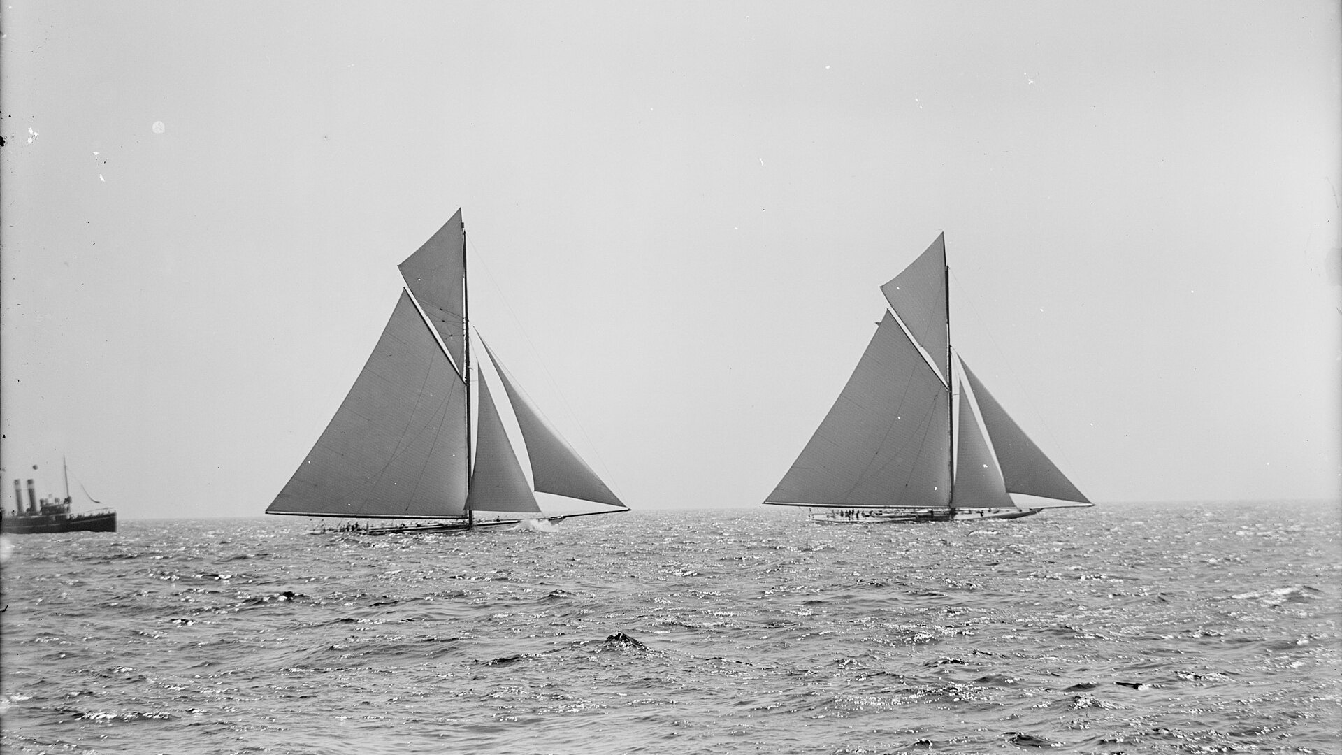 1903 America's Cup start çizgisinde iki yelkenli, solda Shamrock III, sağda Reliance